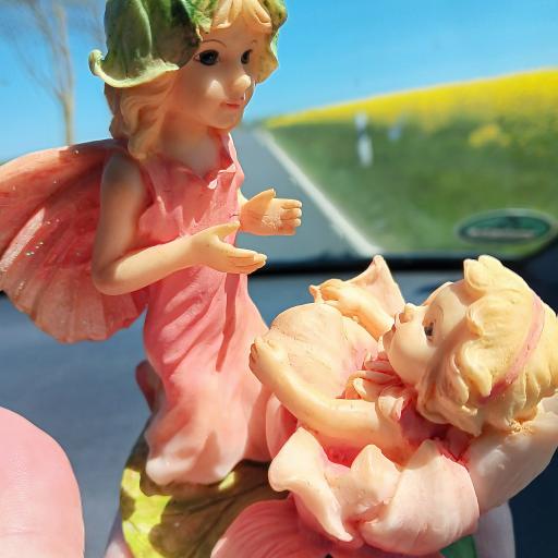 Florian Merkel. Ausstellungsexponate. 